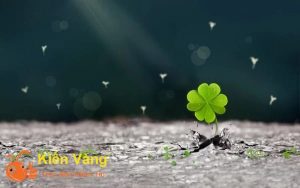 "Điềm báo may mắn" là một khái niệm thường được sử dụn