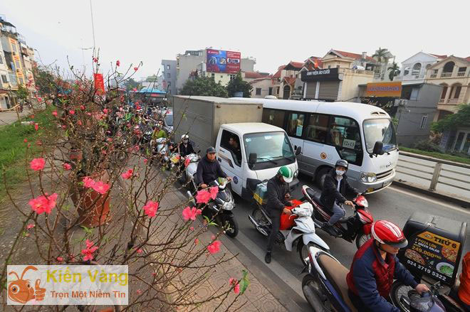 Giao thông dịp đầu năm xuân mới thường không khả quan, đặc biệt là ở các thành phố lớn như Hà Nội, HCM, Đà Lạt
